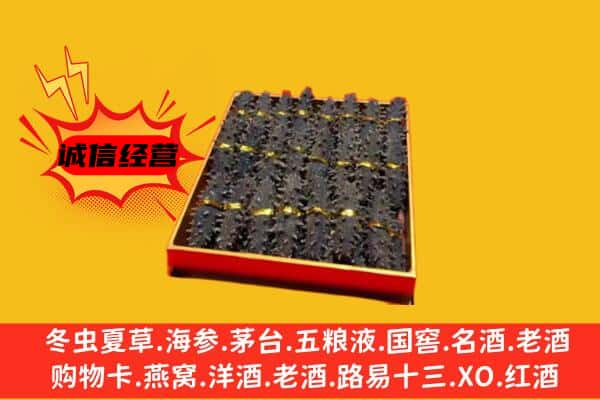 昌乐县回收海参